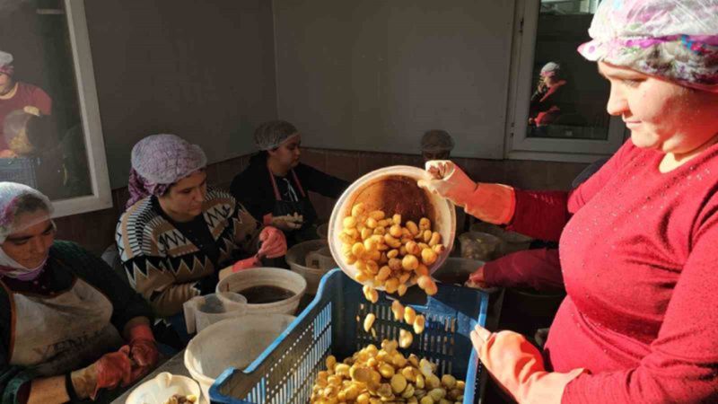 Aydın'ın kestane şekeri, Japonya'da çok sevildi - YeniSöke Gazetesi